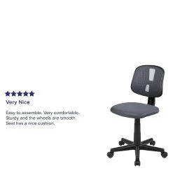 Flash Furniture Fundamentals Nylon Swivel Computer And Desk Chair, Gray (LF-134-GY-GG) -Cheap The Flex Chair Store unnamed file 125