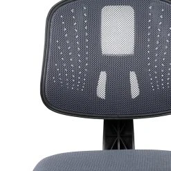 Flash Furniture Fundamentals Nylon Swivel Computer And Desk Chair, Gray (LF-134-GY-GG) -Cheap The Flex Chair Store unnamed file 129