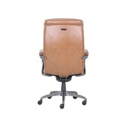 La-Z-Boy Aberdeen Ergonomic Bonded Leather Swivel Computer And Desk Chair, Camel (51545-CAM) -Cheap The Flex Chair Store unnamed file 1454