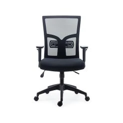 Staples Dedham Mesh Back Fabric Computer And Desk Chair, Black (51483)