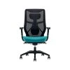 Beautyrest Duo-EX Ergonomic Mesh Swivel Computer Chair, Teal (60051-TEL) -Cheap The Flex Chair Store unnamed file 149