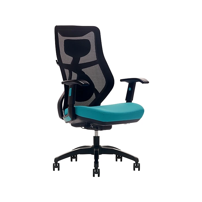 Beautyrest Duo-EX Ergonomic Mesh Swivel Computer Chair, Teal (60051-TEL) 4 Beautyrest Duo-EX Ergonomic Mesh Swivel Computer Chair, Teal (60051-TEL) - Image 2