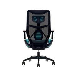 Beautyrest Duo-EX Ergonomic Mesh Swivel Computer Chair, Teal (60051-TEL) 14 Beautyrest Duo-EX Ergonomic Mesh Swivel Computer Chair, Teal (60051-TEL) -Cheap The Flex Chair Store unnamed file 151