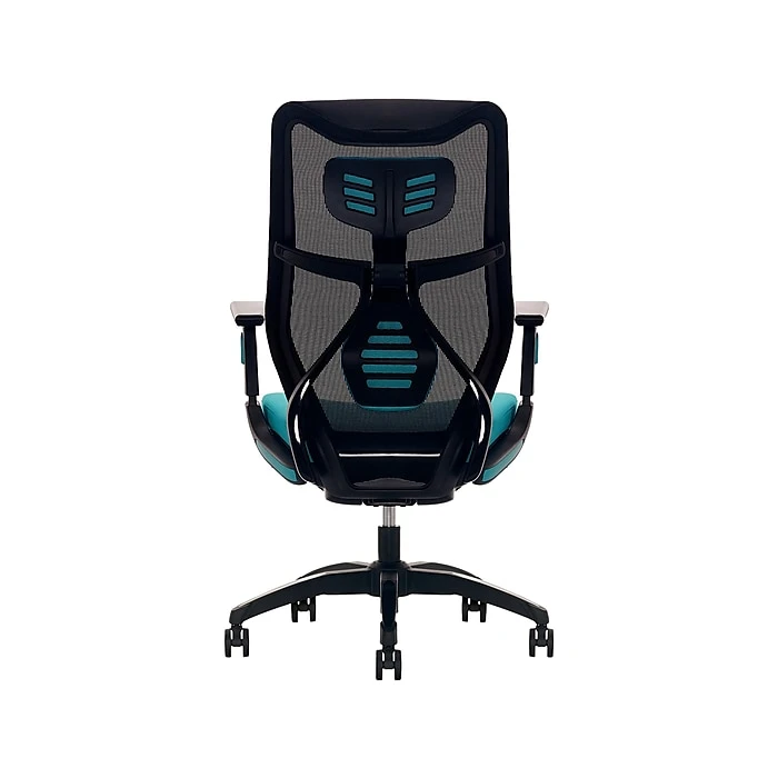 Beautyrest Duo-EX Ergonomic Mesh Swivel Computer Chair, Teal (60051-TEL) 5 Beautyrest Duo-EX Ergonomic Mesh Swivel Computer Chair, Teal (60051-TEL) - Image 3