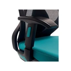 Beautyrest Duo-EX Ergonomic Mesh Swivel Computer Chair, Teal (60051-TEL) 15 Beautyrest Duo-EX Ergonomic Mesh Swivel Computer Chair, Teal (60051-TEL) -Cheap The Flex Chair Store unnamed file 152