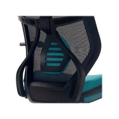 Beautyrest Duo-EX Ergonomic Mesh Swivel Computer Chair, Teal (60051-TEL) 16 Beautyrest Duo-EX Ergonomic Mesh Swivel Computer Chair, Teal (60051-TEL) -Cheap The Flex Chair Store unnamed file 153