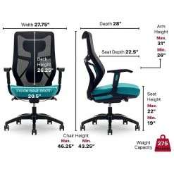 Beautyrest Duo-EX Ergonomic Mesh Swivel Computer Chair, Teal (60051-TEL) 18 Beautyrest Duo-EX Ergonomic Mesh Swivel Computer Chair, Teal (60051-TEL) -Cheap The Flex Chair Store unnamed file 155