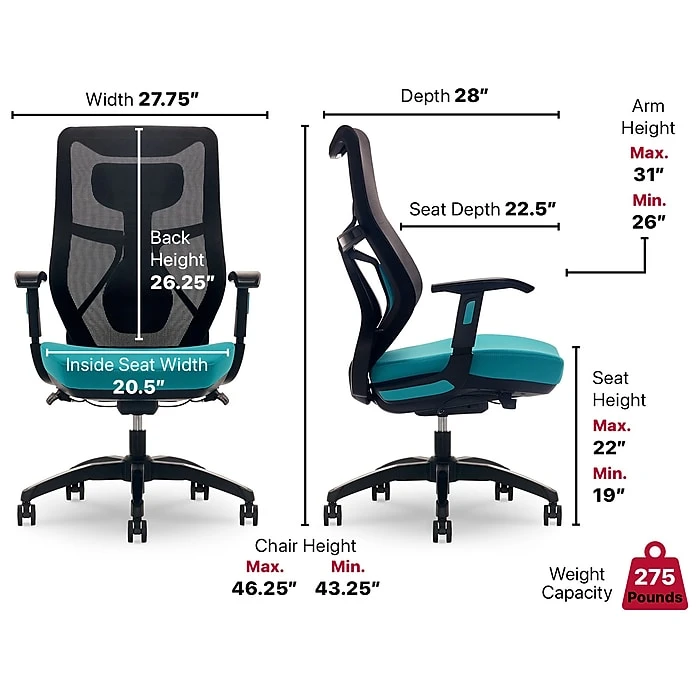 Beautyrest Duo-EX Ergonomic Mesh Swivel Computer Chair, Teal (60051-TEL) 9 Beautyrest Duo-EX Ergonomic Mesh Swivel Computer Chair, Teal (60051-TEL) - Image 7