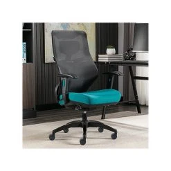 Beautyrest Duo-EX Ergonomic Mesh Swivel Computer Chair, Teal (60051-TEL) 19 Beautyrest Duo-EX Ergonomic Mesh Swivel Computer Chair, Teal (60051-TEL) -Cheap The Flex Chair Store unnamed file 156