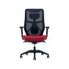 Beautyrest Duo-EX Ergonomic Mesh Swivel Computer Chair, Red (60051-RED) -Cheap The Flex Chair Store unnamed file 164