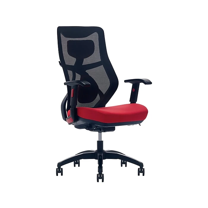 Beautyrest Duo-EX Ergonomic Mesh Swivel Computer Chair, Red (60051-RED) 4 Beautyrest Duo-EX Ergonomic Mesh Swivel Computer Chair, Red (60051-RED) - Image 2