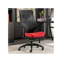 Beautyrest Duo-EX Ergonomic Mesh Swivel Computer Chair, Red (60051-RED) 19 Beautyrest Duo-EX Ergonomic Mesh Swivel Computer Chair, Red (60051-RED) -Cheap The Flex Chair Store unnamed file 171
