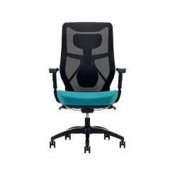 Beautyrest Duo-EX Ergonomic Mesh Swivel Computer Chair, Red (60051-RED) 20 Beautyrest Duo-EX Ergonomic Mesh Swivel Computer Chair, Red (60051-RED) -Cheap The Flex Chair Store unnamed file 172