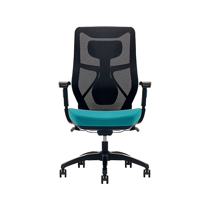 Beautyrest Duo-EX Ergonomic Mesh Swivel Computer Chair, Red (60051-RED) 11 Beautyrest Duo-EX Ergonomic Mesh Swivel Computer Chair, Red (60051-RED) - Image 9