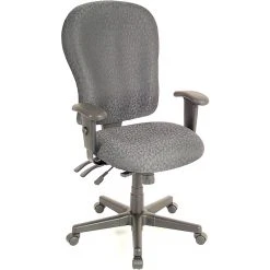 Raynor Eurotech 4 X 4 XL Fabric Ergonomic High-Back Task Chair, Fabric, Charcoal