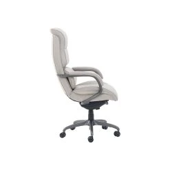 La-Z-Boy Aberdeen Bonded Leather Executive Chair, Beige (LF51122) -Cheap The Flex Chair Store unnamed file 1991