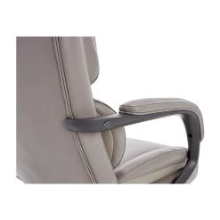 La-Z-Boy Aberdeen Bonded Leather Executive Chair, Beige (LF51122) -Cheap The Flex Chair Store unnamed file 1994
