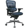 Raynor Eurotech Ergo Human Mesh Mid Back Task Chair, Blue -Cheap The Flex Chair Store unnamed file 2267