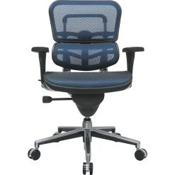 Raynor Eurotech Ergo Human Mesh Mid Back Task Chair, Blue -Cheap The Flex Chair Store unnamed file 2269