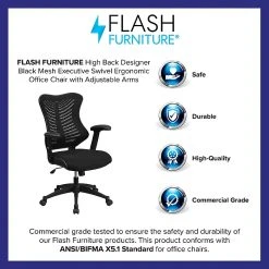Flash Furniture Mesh Executive Chair, Black (BL-ZP-806-BK-GG) -Cheap The Flex Chair Store unnamed file 2274