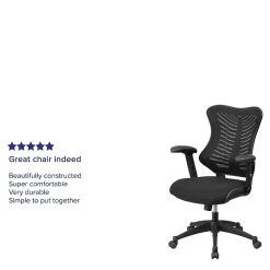 Flash Furniture Mesh Executive Chair, Black (BL-ZP-806-BK-GG) -Cheap The Flex Chair Store unnamed file 2275
