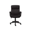 Serta Hannah I Fabric Executive Chair, Black (43670D) -Cheap The Flex Chair Store unnamed file 2297
