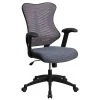 Flash Furniture Mesh/Fire-retardant Foam Executive Chair, Black/Designer Gray (BL-ZP-806-GY-GG) -Cheap The Flex Chair Store unnamed file 2465