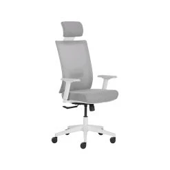 La-Z-Boy Joel Ergonomic Mesh Swivel Executive Chair, Gray/White (60065)