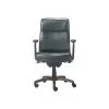 La-Z-Boy Dawson Ergonomic Faux Leather Swivel Executive Chair, Black (CHR10083B) 2 La-Z-Boy Dawson Ergonomic Faux Leather Swivel Executive Chair, Black (CHR10083B) -Cheap The Flex Chair Store unnamed file 2633