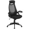 Flash Furniture High Back Mesh Executive Swivel Office Chair, Black With Flip-Up Arms (HL0018) -Cheap The Flex Chair Store unnamed file 2693