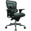 Raynor Eurotech Mesh/Leather Mid Back Ergo Human Chair, Black 1 Raynor Eurotech Mesh/Leather Mid Back Ergo Human Chair, Black -Cheap The Flex Chair Store unnamed file 2742