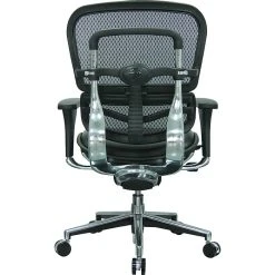 Raynor Eurotech Mesh/Leather Mid Back Ergo Human Chair, Black -Cheap The Flex Chair Store unnamed file 2744