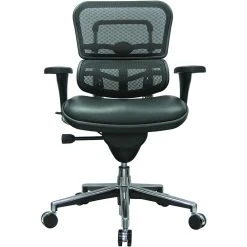 Raynor Eurotech Mesh/Leather Mid Back Ergo Human Chair, Black -Cheap The Flex Chair Store unnamed file 2745