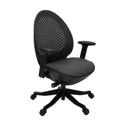 Techni Mobili Deco Lux Ergonomic Mesh Swivel Executive Chair, Black (RTA-1819C-BK)