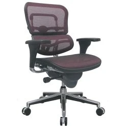 Raynor Eurotech Ergo Human Mesh Mid Back Task Chair, Plum Red