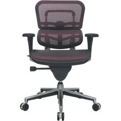 Raynor Eurotech Ergo Human Mesh Mid Back Task Chair, Plum Red -Cheap The Flex Chair Store unnamed file 3011