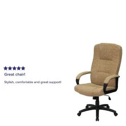 Flash Furniture High Back Fabric Executive Office Chairs (BT9022BGE) -Cheap The Flex Chair Store unnamed file 3160
