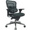 Raynor Eurotech Ergo Human Mesh Mid Back Task Chair, Green -Cheap The Flex Chair Store unnamed file 3182