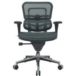 Raynor Eurotech Ergo Human Mesh Mid Back Task Chair, Green -Cheap The Flex Chair Store unnamed file 3185