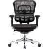 Raynor Marketing Raynor Eurotech Ergohuman Mid Back Executive Chair, Patterned Mesh, Black -Cheap The Flex Chair Store unnamed file 3783
