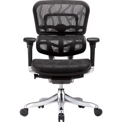 Raynor Marketing Raynor Eurotech Ergohuman Mid Back Executive Chair, Patterned Mesh, Black
