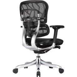 Raynor Marketing Raynor Eurotech Ergohuman Mid Back Executive Chair, Patterned Mesh, Black -Cheap The Flex Chair Store unnamed file 3785