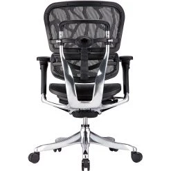 Raynor Marketing Raynor Eurotech Ergohuman Mid Back Executive Chair, Patterned Mesh, Black -Cheap The Flex Chair Store unnamed file 3786