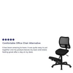 Flash Furniture Ergonomic Mesh Kneeling Task Chair, Armless, Black -Cheap The Flex Chair Store unnamed file 3898
