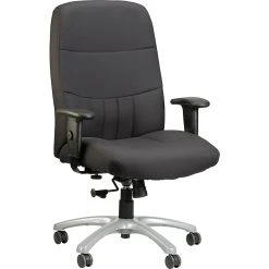 Raynor Eurotech Excelsior Fabric Big And Tall Manager's Chair, Black (BM90000-BLK)