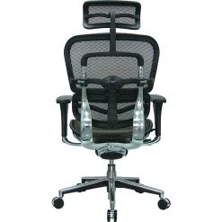 Raynor Eurotech Ergo Human High Back Managers Chair, With Headrest And Mesh, Orange -Cheap The Flex Chair Store unnamed file 4012