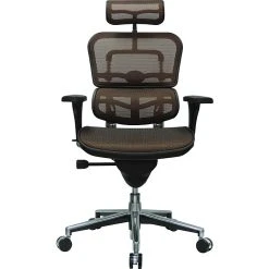 Raynor Eurotech Ergo Human High Back Managers Chair, With Headrest And Mesh, Orange -Cheap The Flex Chair Store unnamed file 4013