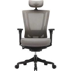 Raynor Marketing Raynor Nefil Elite Smart Motion Mesh Managers Chair With Headrest, 3D Gray -Cheap The Flex Chair Store unnamed file 4035