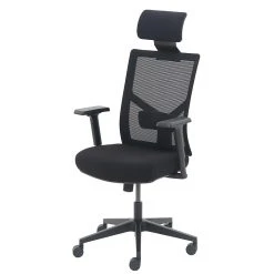 La-Z-Boy Mesh Back Molded Foam Task Chair, Black (60021) -Cheap The Flex Chair Store unnamed file 4250