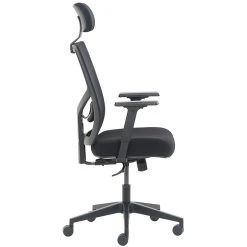La-Z-Boy Mesh Back Molded Foam Task Chair, Black (60021) -Cheap The Flex Chair Store unnamed file 4251